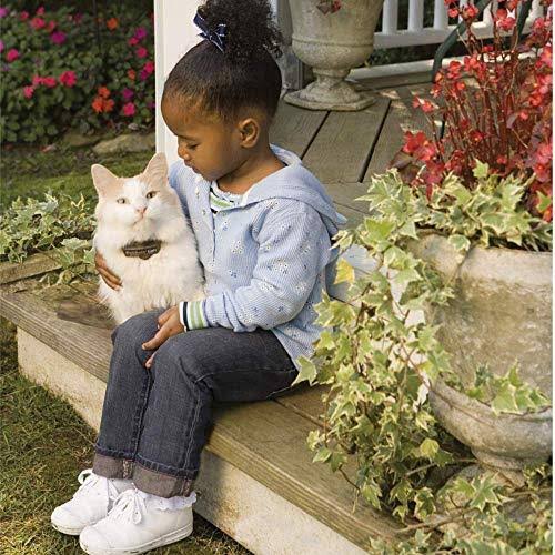 In-Ground Cat Fence Receiver Collar C763