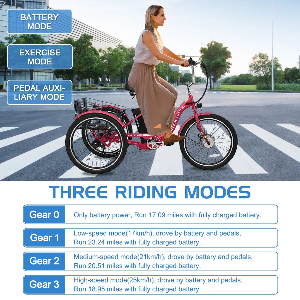 24Inch Electric Trike, 350W 36V 10AH Lithium Battery, 7 Speeds Three Wheel Bike F790