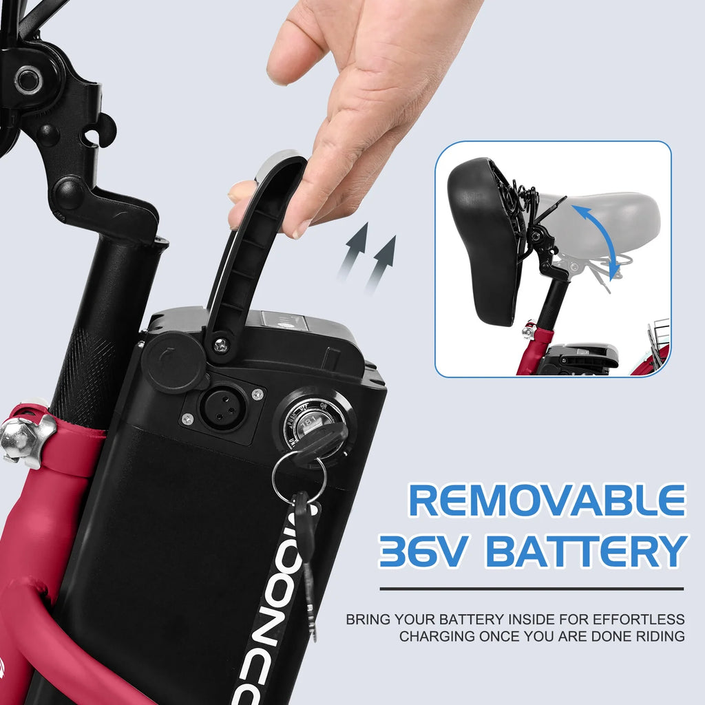 24Inch Electric Trike, 350W 36V 10AH Lithium Battery, 7 Speeds Three Wheel Bike F790