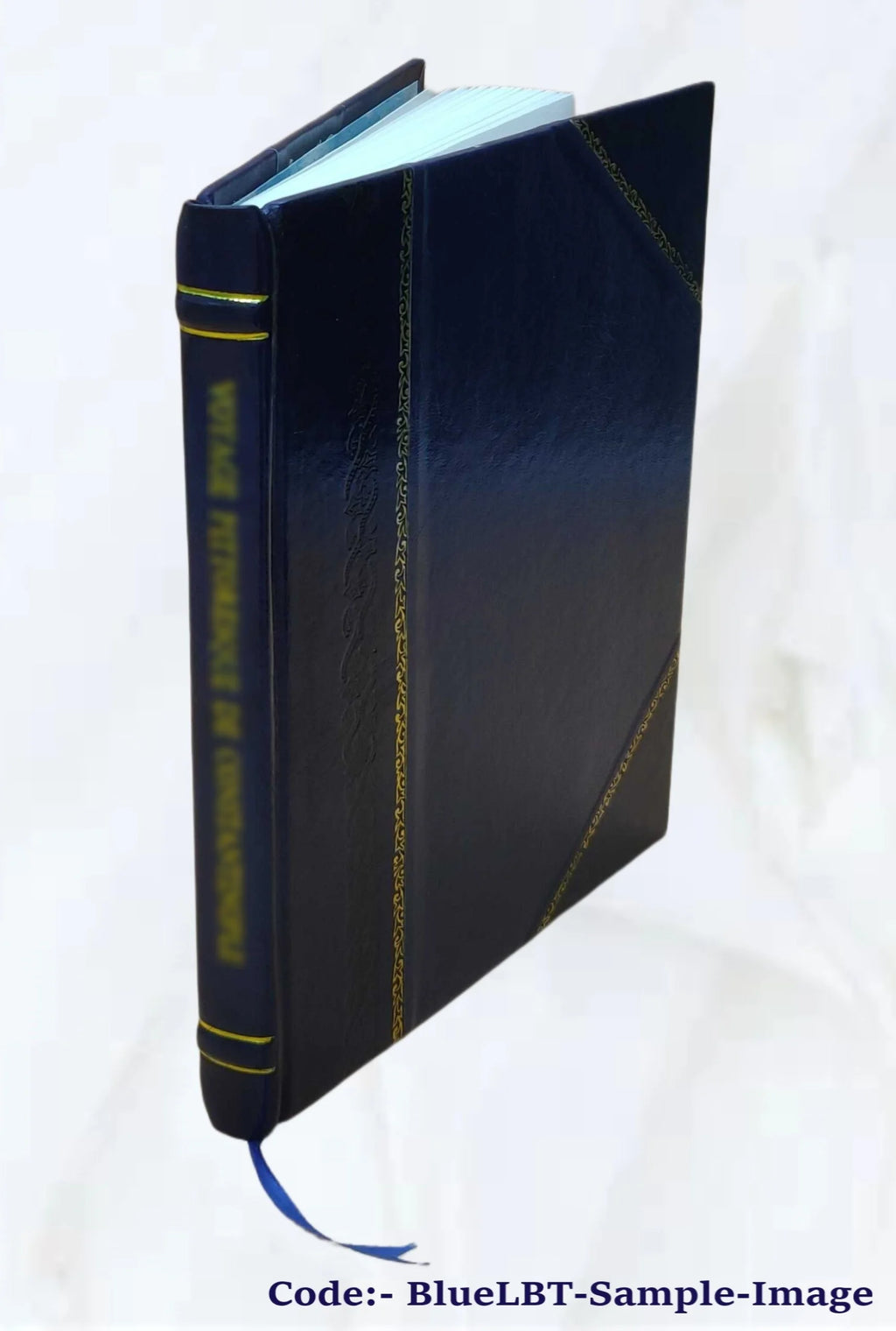 Civil Service Board Reports and Superintendent of Employment Report, 1913 W881