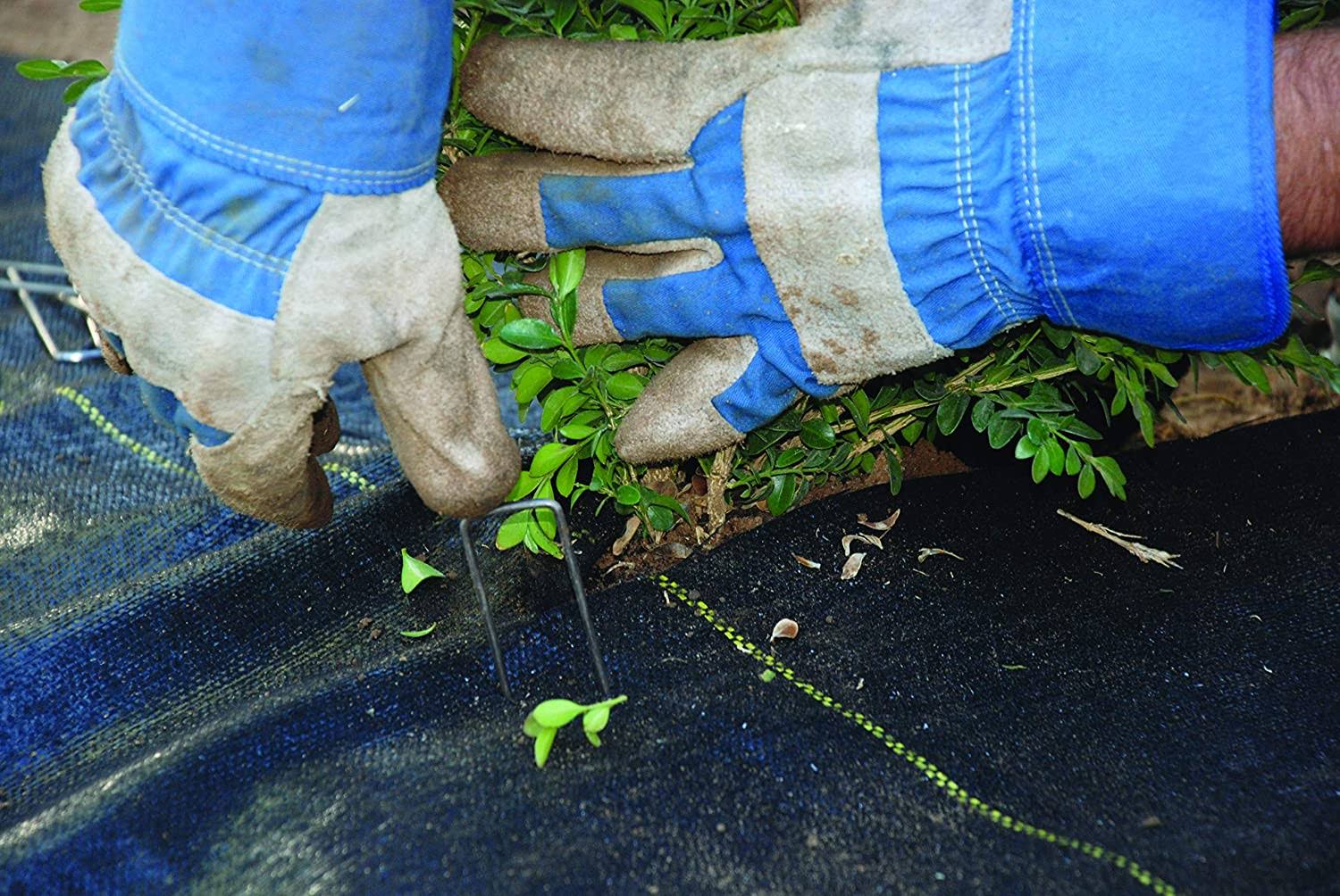 20 Year 250 x 4& 4 oz Landscape Fabric Weed Barrier (2 Pack) F650