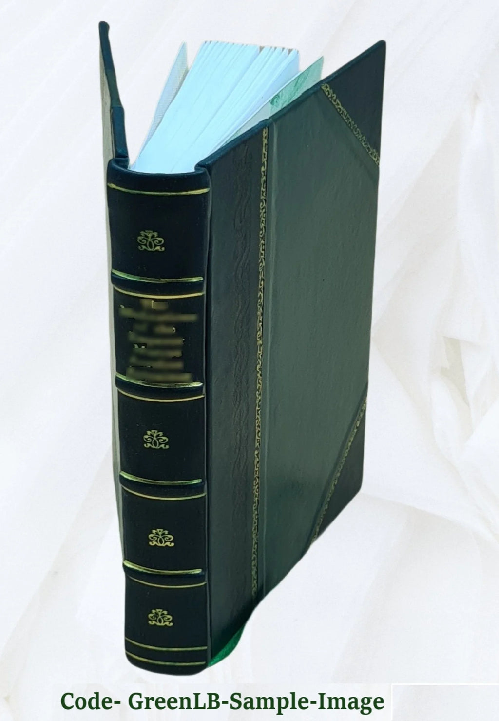 Leather Bound Book Z604011