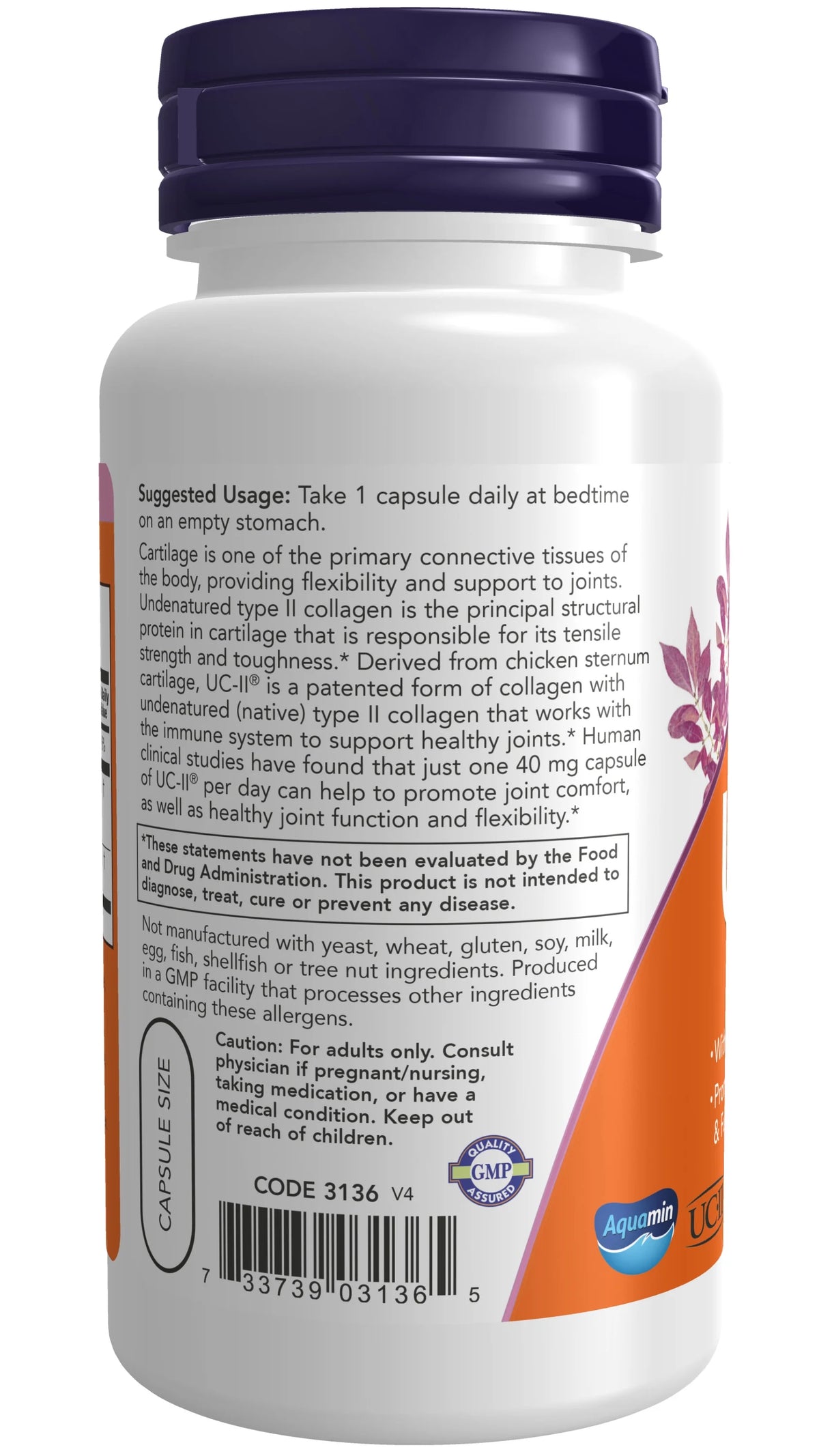 120 Veg Capsules Type II Collagen L954