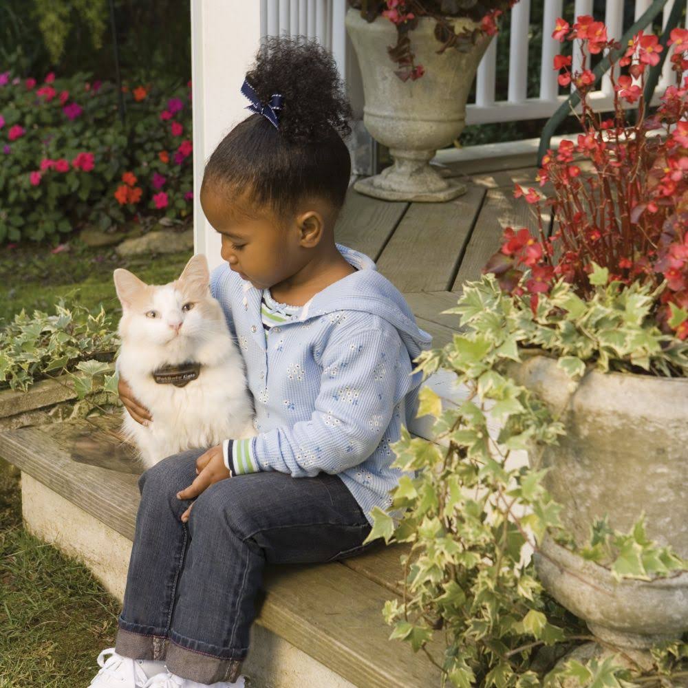 In-Ground Cat Fence Receiver Collar C763