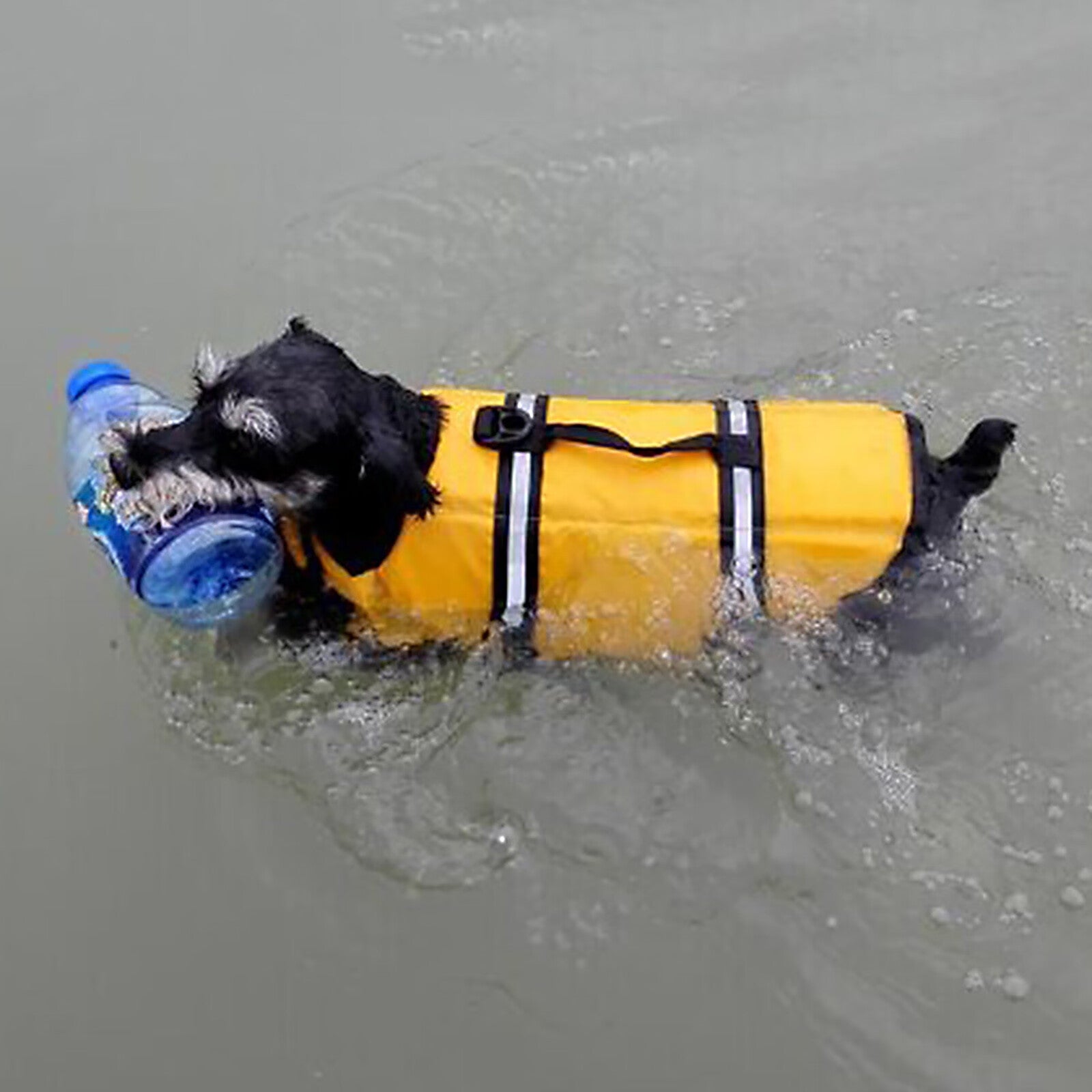 Dog Life Jacket with Reflective Stripes J78155