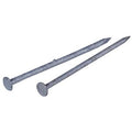 Hot Dipped Galvanized Common Nails 3-1/4 inch 12D 50 Pounds R954680