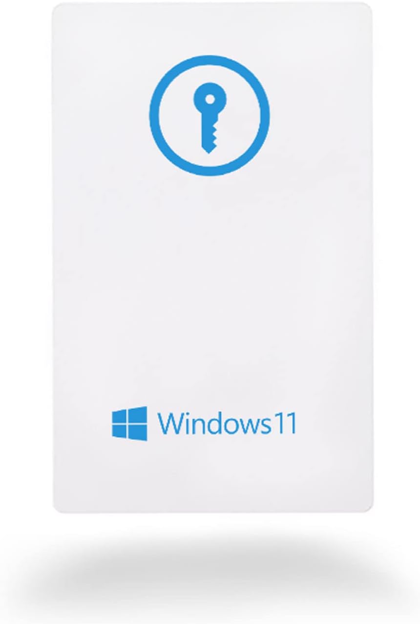 Windows 11 Home USB Flash 1 PC English International 2022 Version I300126