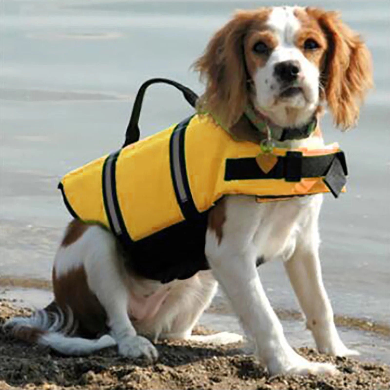Dog Life Jacket with Reflective Stripes J78155