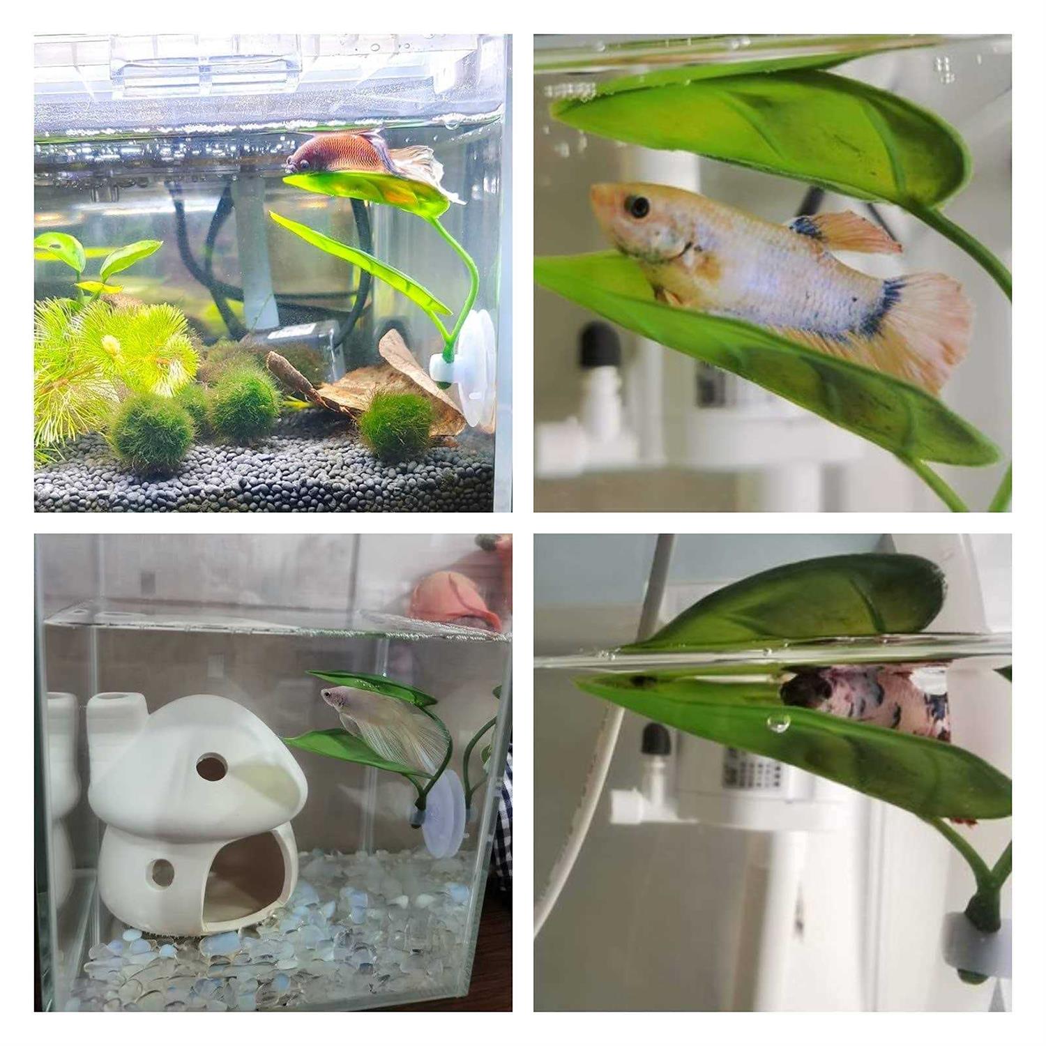 Betta Fish Leaf Pad Plastic Suction Cup S3271