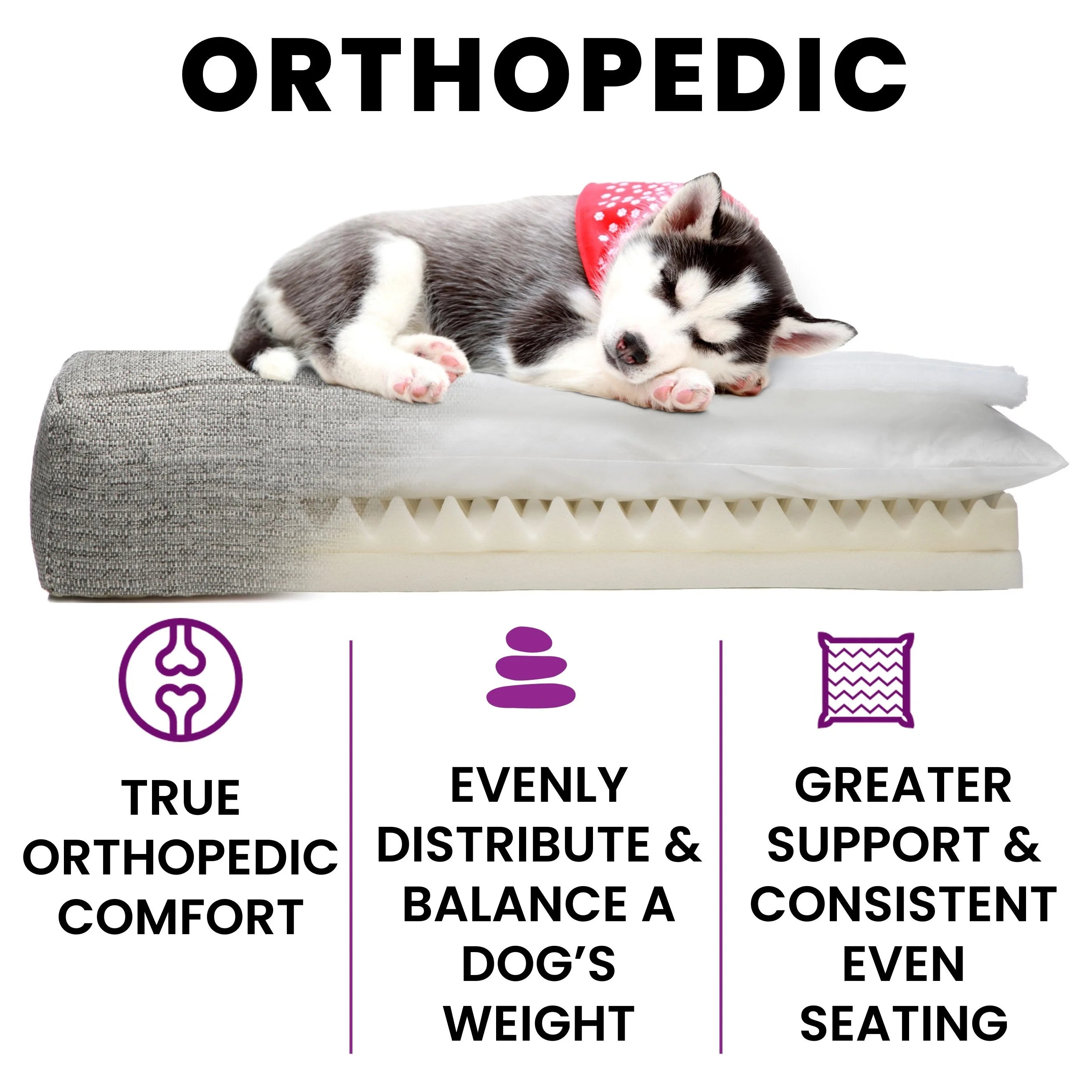 Orthopedic Bed for Dogs, Large, Charcoal T5180