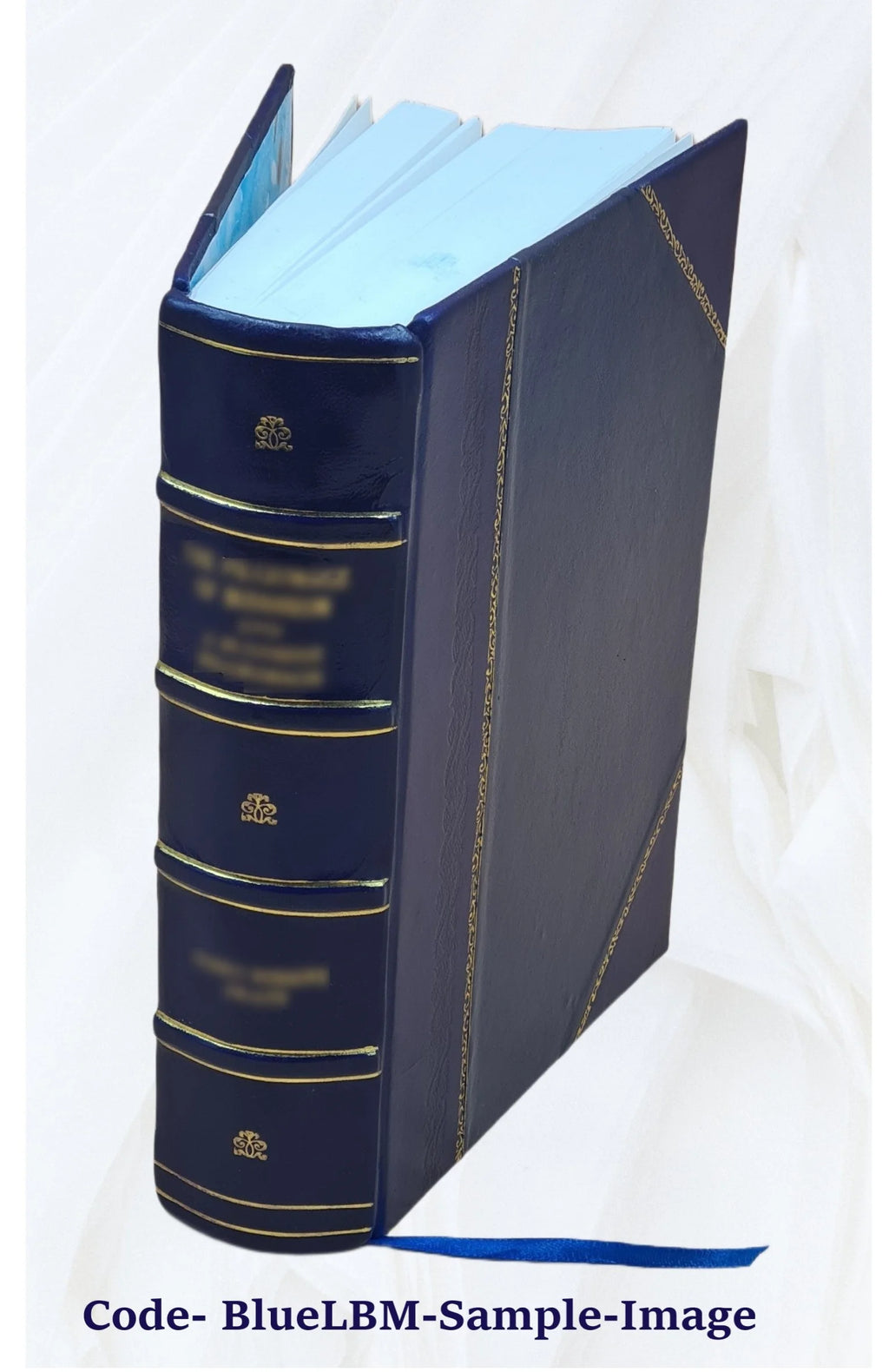Deutsch-slovenisches Wörterbuch, v.2, Leather Bound C19283