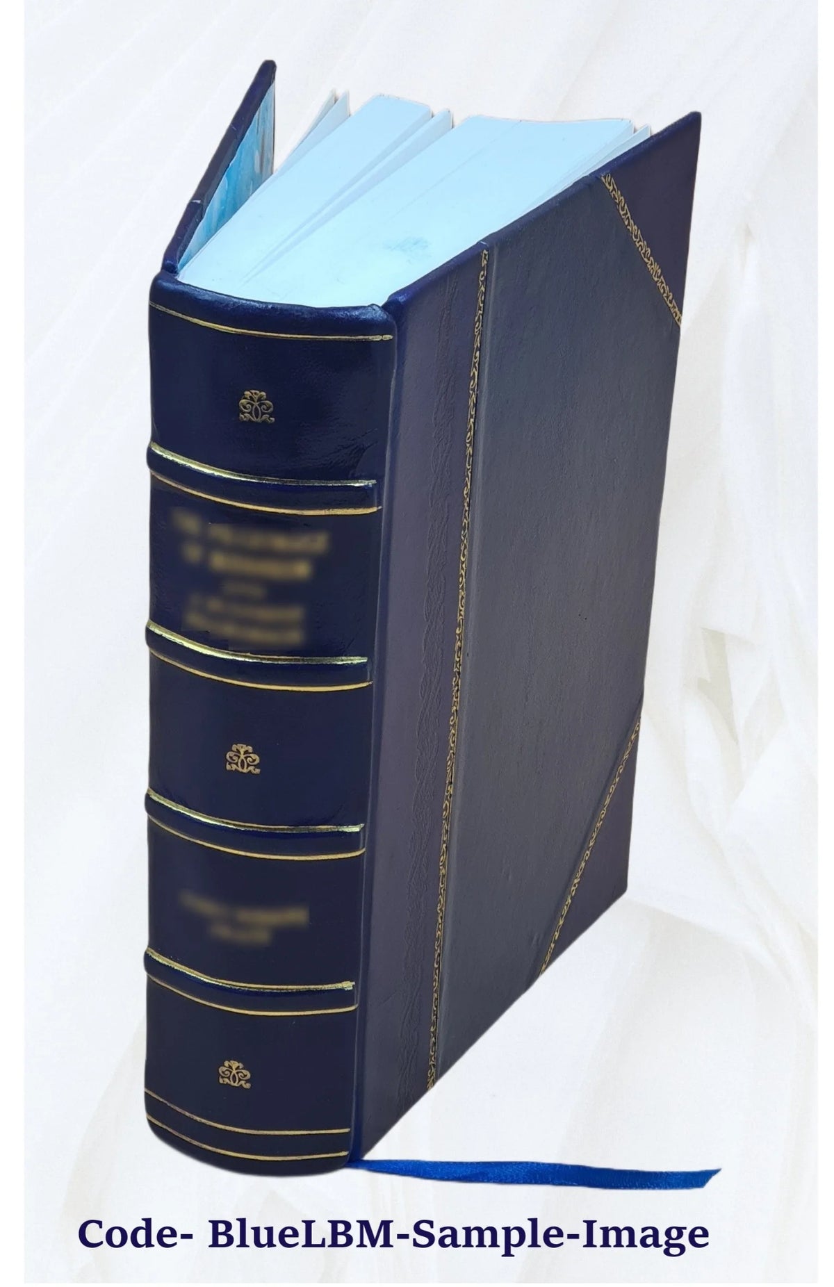 Deutsch-slovenisches Wörterbuch, v.2, Leather Bound C19283