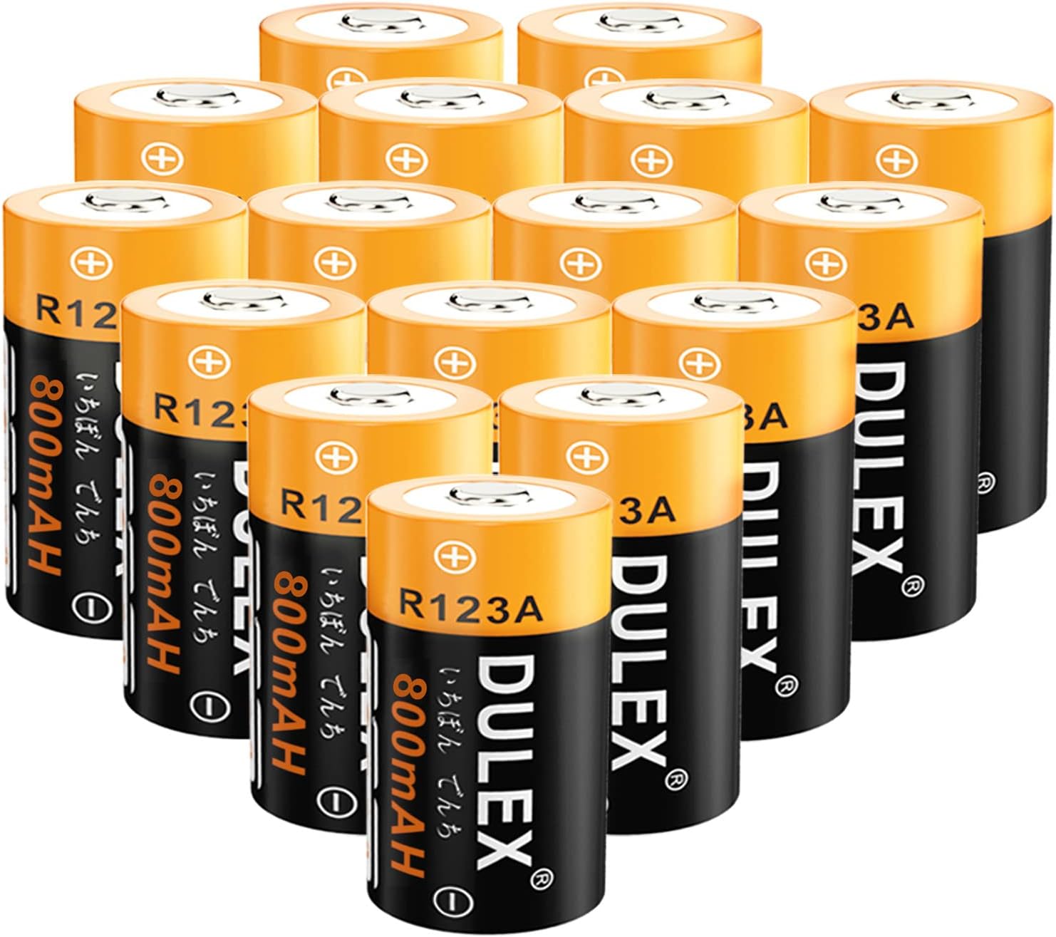 Rechargeable NiMH Batteries and Charger for Cameras, Pack of 2 P90635