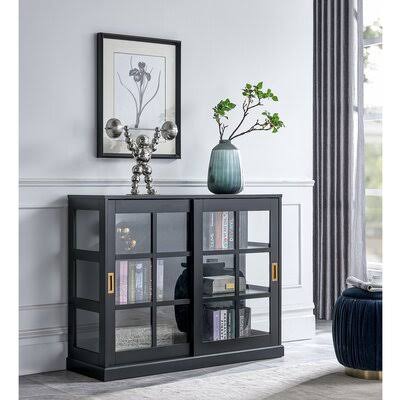 2 Door Black Accent Cabinet V47407