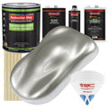 Medium Gallon Car Auto Paint Kit L944
