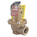 3/4 100 Psi Bronze Safety Relief Valve T902956