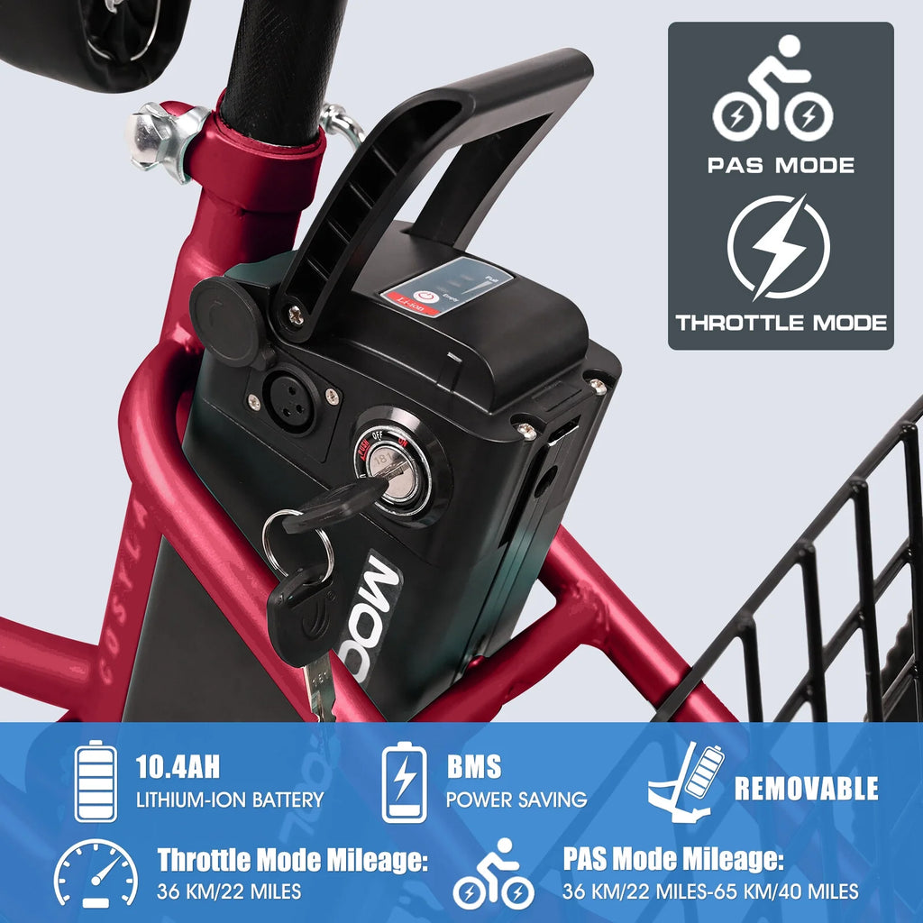 24Inch Electric Trike, 350W 36V 10AH Lithium Battery, 7 Speeds Three Wheel Bike F790