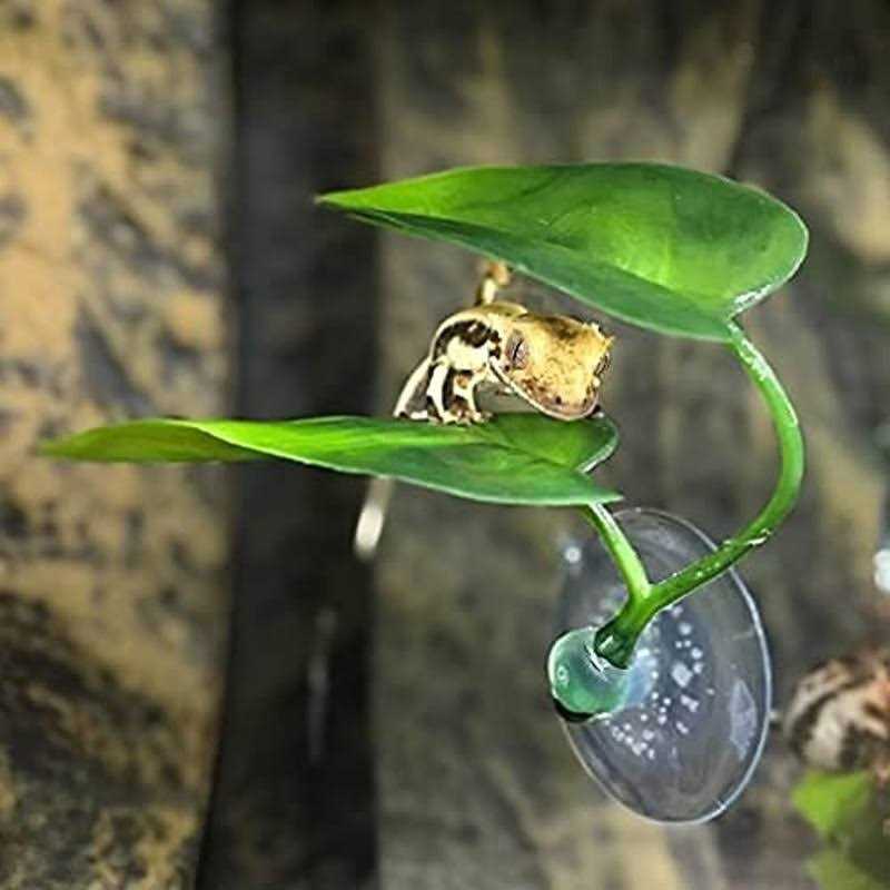 Betta Fish Leaf Pad Plastic Suction Cup S3271