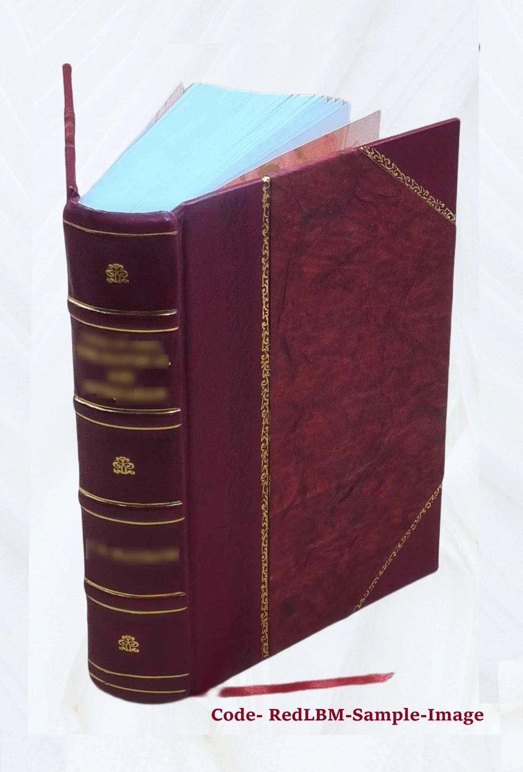 Deutsch-slovenisches Wörterbuch, v.2, Leather Bound C19283