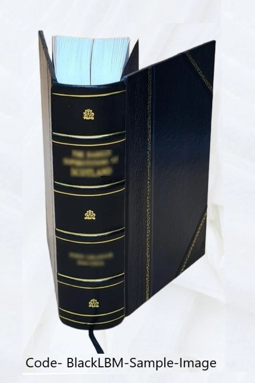 Deutsch-slovenisches Wörterbuch, v.2, Leather Bound C19283