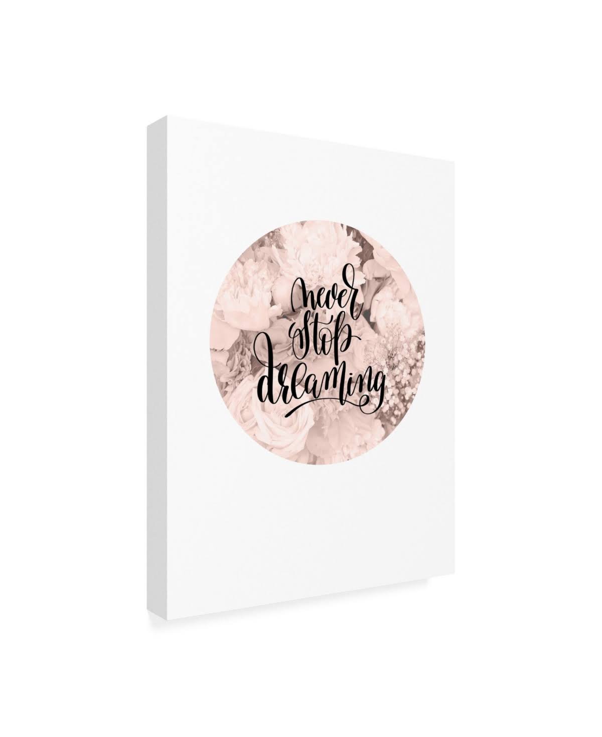 Never Stop Dreaming Canvas Art G984378