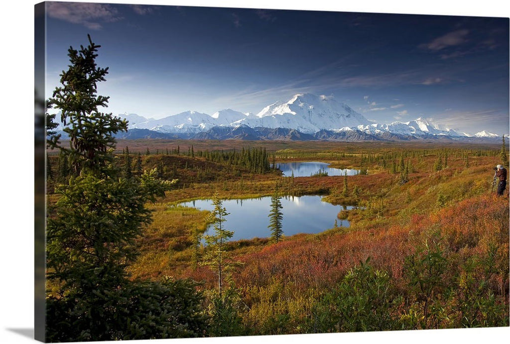 Male hiker near two kettle ponds in the fall tundra Canvas V394966