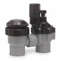 3/4in Antisiphon Valve O8378