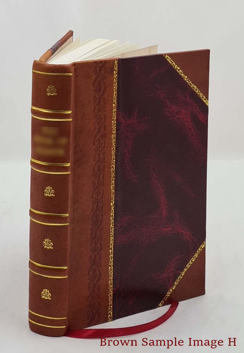 Gout Medical Treatise Leather Bound T762