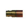 12x22 Anti-Siphon Wall Hydrant 3/4x22 PEX Z89448