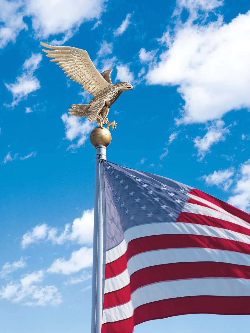 Gold Bronze Flagpole Eagle Y5944