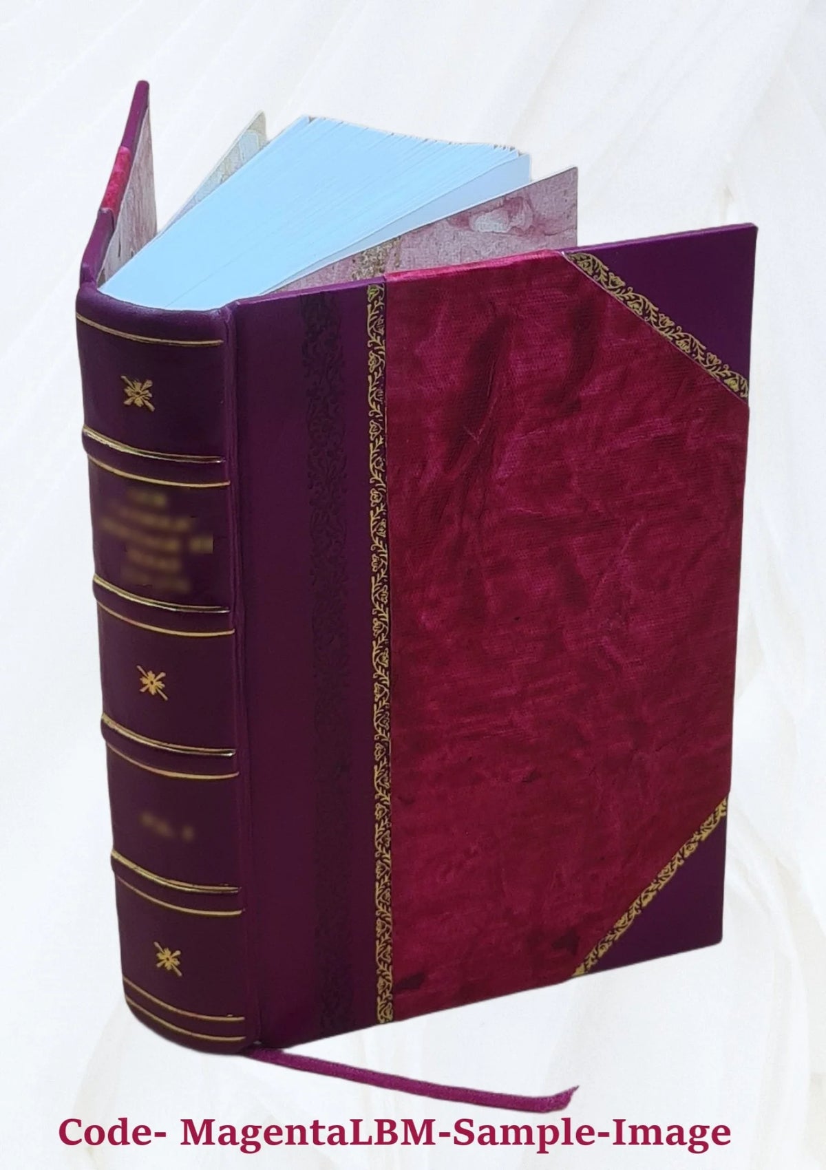 Deutsch-slovenisches Wörterbuch, v.2, Leather Bound C19283