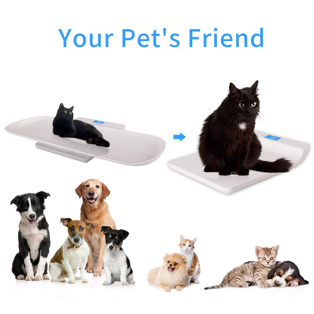 Digital Pet Scale, Infant Scale with Height Track, 220lbs, Pack of 2 G2763