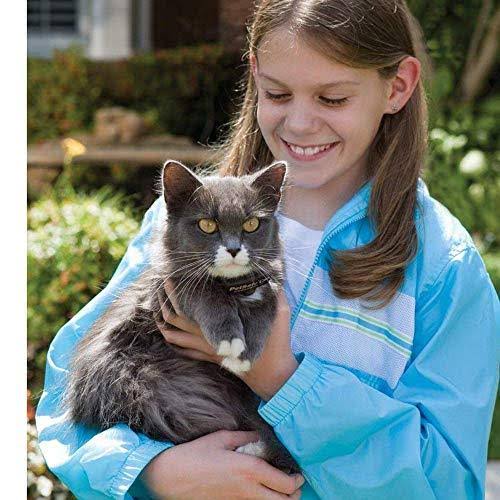 In-Ground Cat Fence Receiver Collar C763