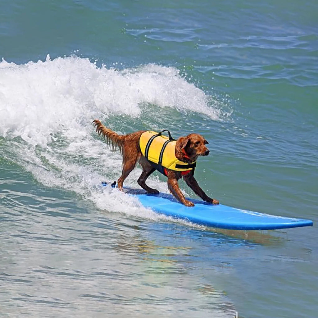 Dog Life Jacket with Reflective Stripes J78155